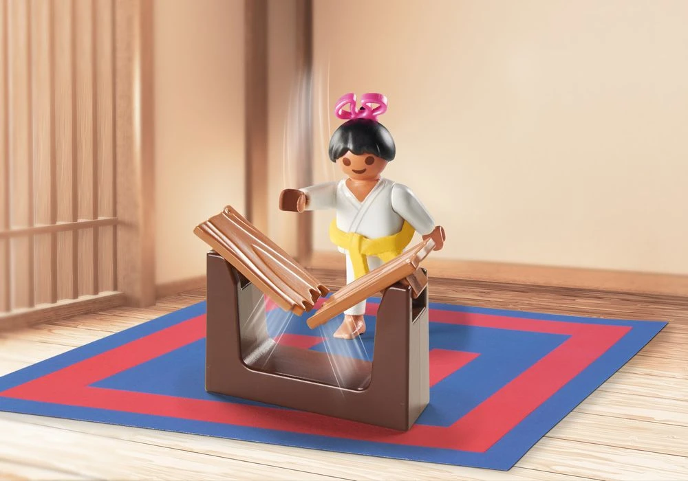 71186 Karate Training - Playmobil 7 71186 Karate Training - Playmobil – Bild 5
