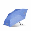 Ergobag Regenschirm Bärzaubernd